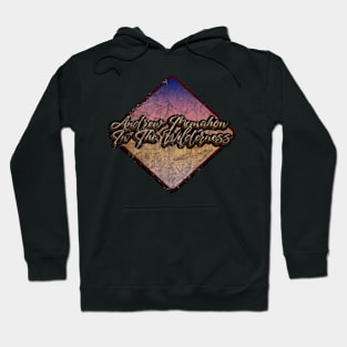 Andrew Mcmahon In The Wilderness vintage design on top Hoodie